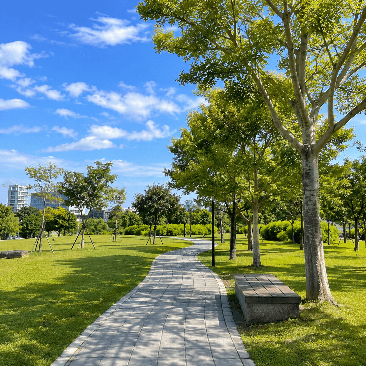 道路公園農地買賣